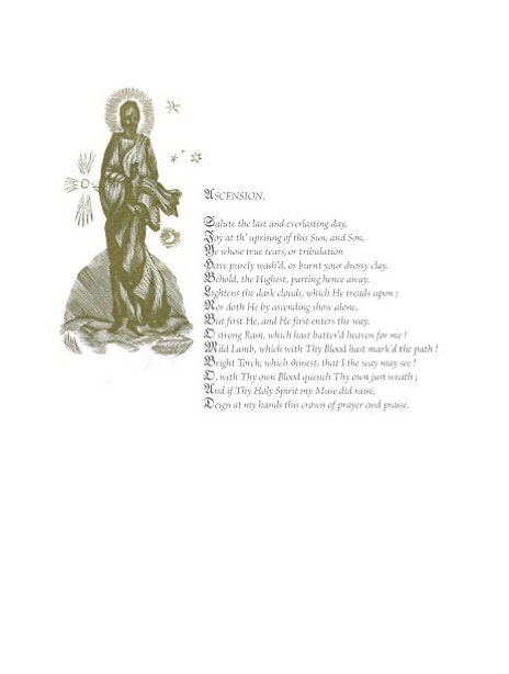 Johnn Donn. La Corona